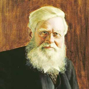 Portrait of Alfred Russel Wallace as an older man