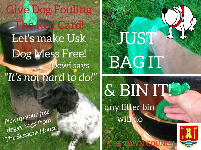 give dog fouling the red card poster