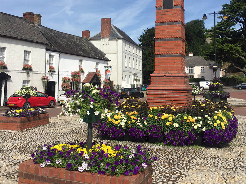 flowers by the clocktower