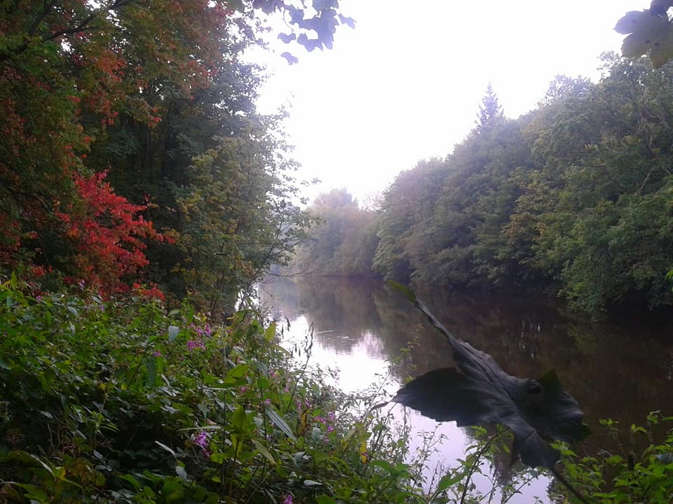 river usk by photographer dennis davies