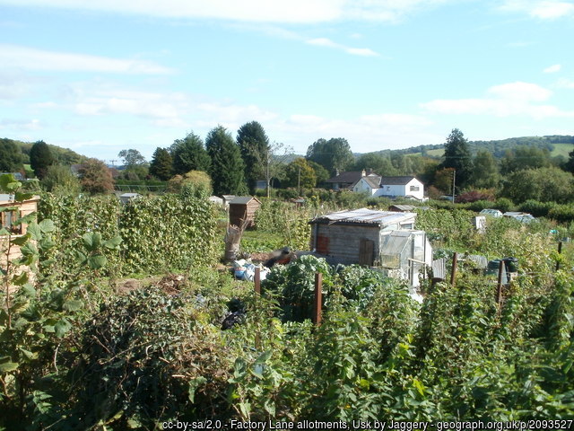 allotments. photo credited to jaggery