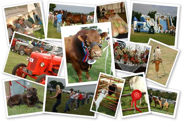 usk show collage